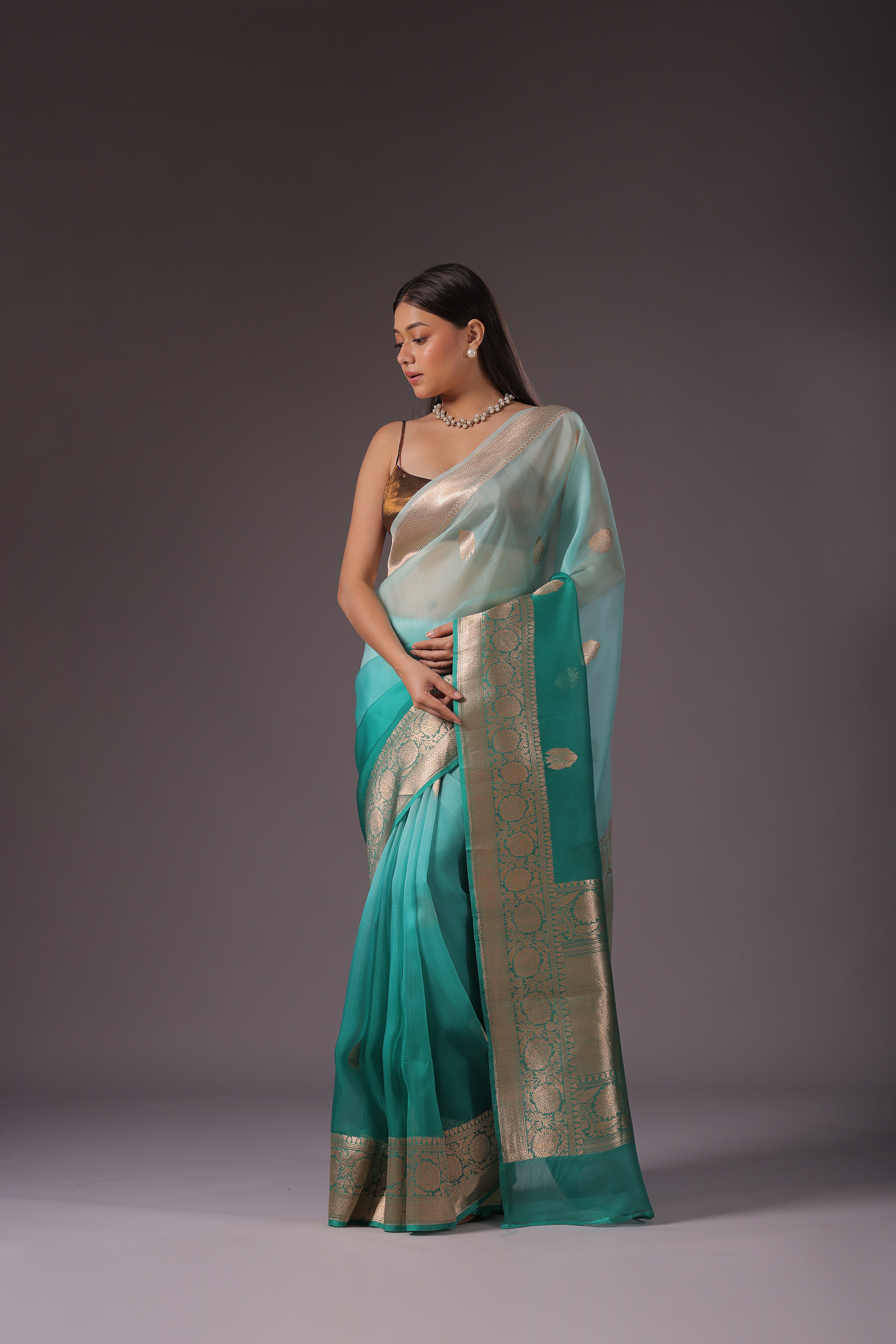 Shaded Kora Banarasi